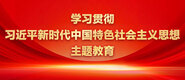 黄片美女艹逼学习贯彻习近平新时代中国特色社会主义思想主题教育_fororder_ad-371X160(2)